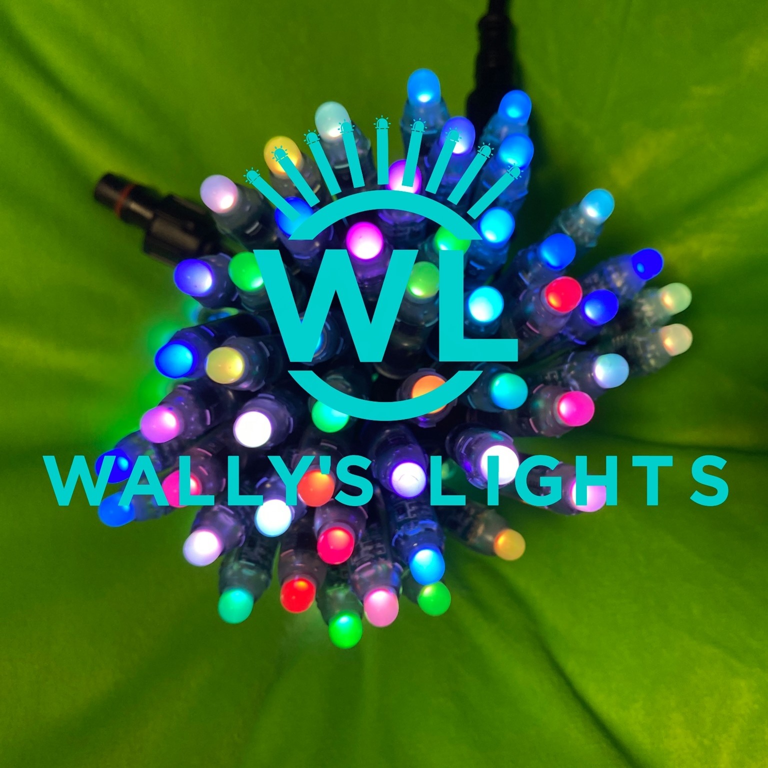 Vendors Counter Holiday Lights